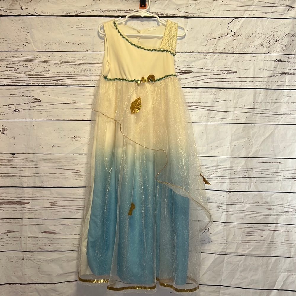 Girl’s Grecian Goddess Gown GUC Sz 6-6x
